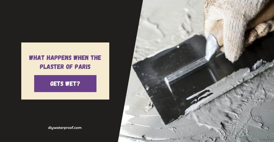 What Happens When The Plaster of Paris Gets Wet